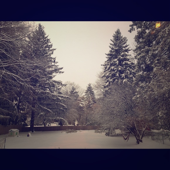 Meet your Posher, Kate - Picture 1 of 1